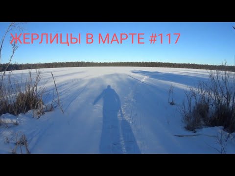 Видео: НУ НАКОНЕЦ ТО!!!Выставил жерлицы на ночь.Рыбалка на жерлицы в марте 2025.#117