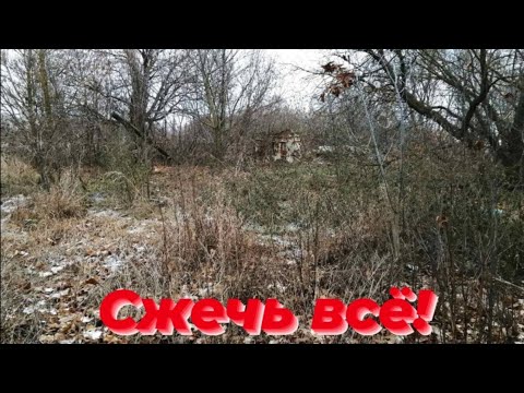 Видео: ЧАСТЬ3/Заросший участок приводим в порядок /продолжение...