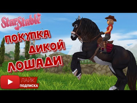 Видео: Покупка Дикой Лошади в Star Stable Online | Buying the NEW Jorvik Wild