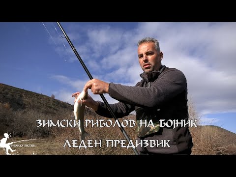 Видео: ЗИМСКИ РИБОЛОВ НА БОЈНИК – ЛЕДЕН ПРЕДИЗВИК