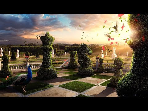 Видео: Шахматы на lichess.org [RU]. Играем, общаемся.