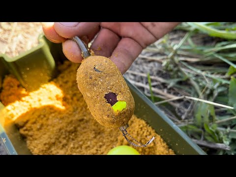 Видео: ЛОВЛЯ КАРПА на ФЛЭТ ФИДЕР с ноткой КАРПФИШИНГА. Суточная сессия водоём Орлеан