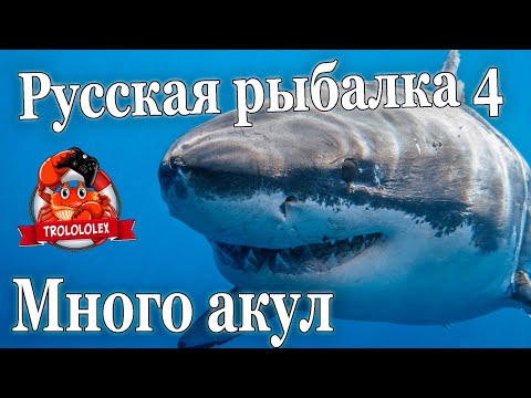 Видео: Русская рыбалка 4 Выловил стаю акул. ФАРМ на Норвежском море