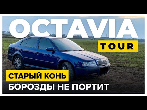 Видео: Старый конь, борозды не портит - Skoda Octavia Tour 1.9 TDI