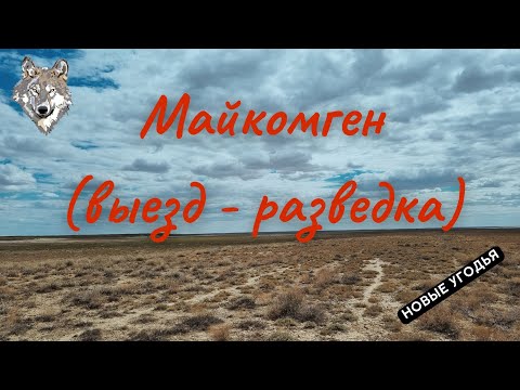 Видео: Охота на волка "Разведка"  Казахстан Атырау  "Майкомген"