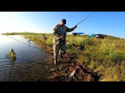 Видео: Залив Черная речка КВХ, Хакассия Боградский район