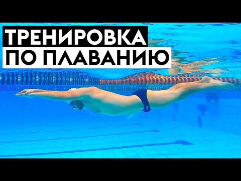 Видео: Тренировка по плаванию. Как плавать кролем с пользой для здоровья