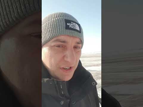 Видео: JCB  JS 200 .  P0201 обрыв цепи форсунки первого цилиндра.