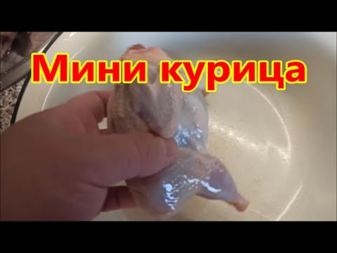Видео: Мини-курица