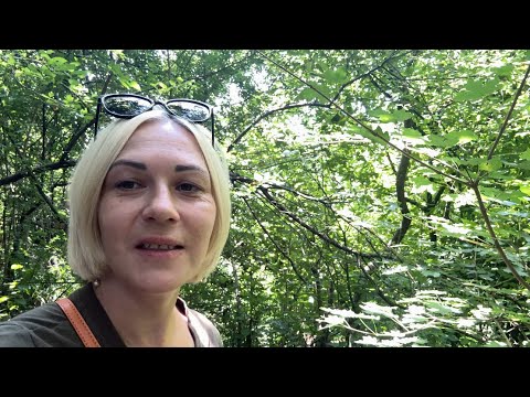 Видео: Что успели сделать в доме в горах🏡🏞️,покупки для ремонта ⚒️,какие планы…