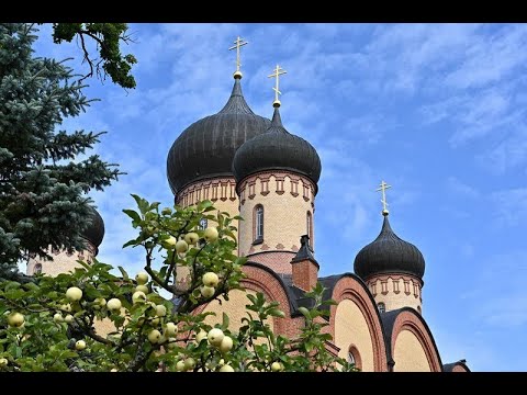 Видео: 10.09.2025. Среда. Божественная Литургия. Обретение мощей прп. Иова Почаевского.