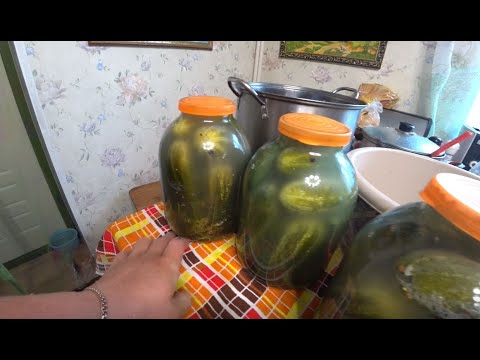 Видео: Лучший рецепт квашеных огурцов