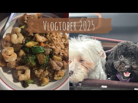 Видео: Уход за ранами и приготовление еды вместе со мной! | KelsTells Vlogtober