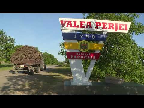 Видео: ЗА БЪЛГАРИТЕ В СЕЛО ВАЛЯ ПЕРЖЕЙ, ОБЛАСТ ТАРАКЛИЯ В МОЛДОВА 24 МАЙ Е НАЙ-СПЕЦИАЛНИЯТ ПРАЗНИК (2024)