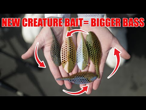 Видео: НОВАЯ БЕЗУМНАЯ наживка для животных от Berkley… в ней есть ДЫРЫ??? - Berkley PowerBait MaxScent F...