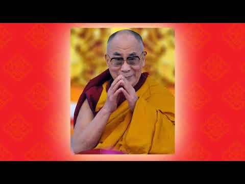 Видео: Мэгзэм. Мигзем