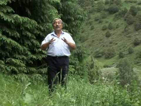 Видео: Кыргызча рухий клип Ак-марал