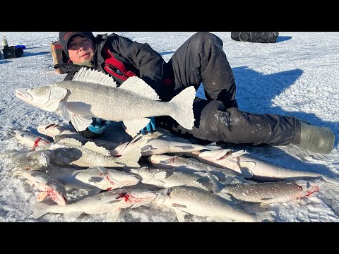 Видео: Открытие сезона по Судаку вот это Рыбалка! #судак #открытиесезона #рыбалкасночевкой