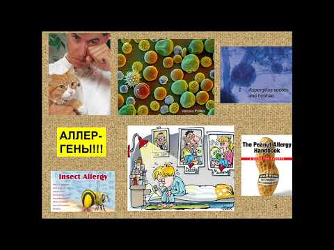 Видео: Дубынин В. А. - Физиология иммунитета - 5. Аллергии (гиперчувствительность 1-4 типов)