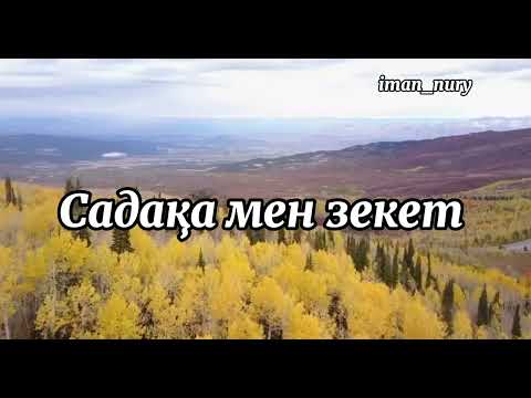 Видео: Садақа мен зекет. #садақа #зекет