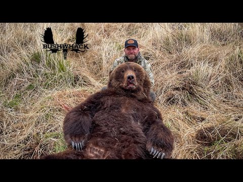Видео: Бурый медведь Аляски Часть: 2