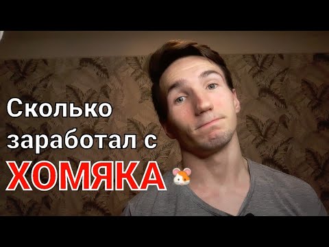 Видео: Hamster kombat сколько заработал?