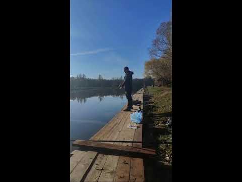 Видео: Морозная осень 🍁! 🎣