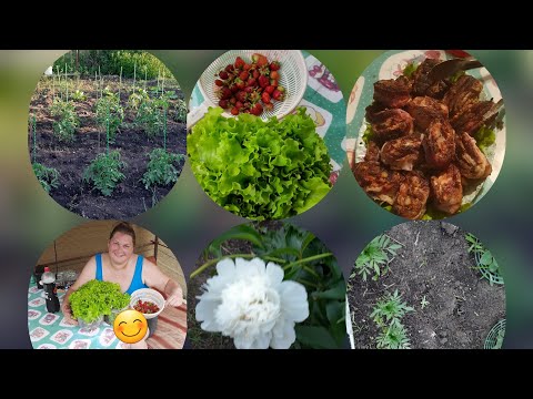 Видео: ГОТОВИМ НА ДАЧЕ//НОВЫЙ РЕЦЕПТ//РУЛЕТ НА ОГНЕ.