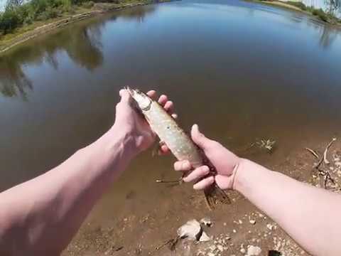 Видео: Осваиваем мормышинг, рыбалка на мормышку попалась щука))), так же покидал микроджиг.