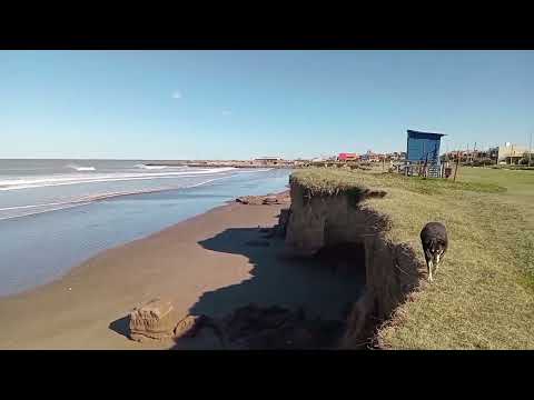 Видео: Аргентина. Особенности нашего района. Побережье Атлантики. Осень.