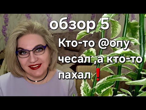 Видео: Кто-то @опу чесал, а кто-то пахал❗️