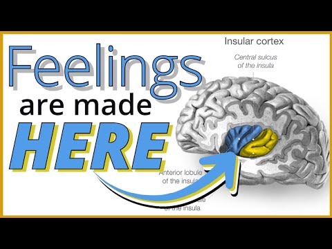 Видео: Интероцепция: почему эмоции ощущаются именно так