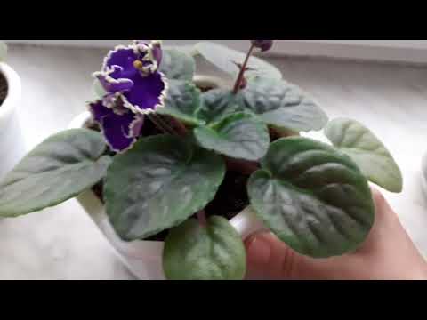 Видео: ВЛОГ '5 ( НОЯБРЬ ) ❤БЕЛАРУСЬ 2025🍂🍁🍂