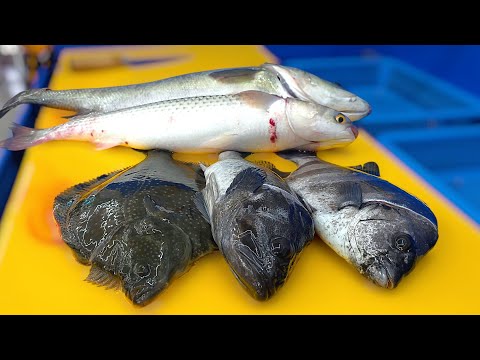 Видео: Я серьезно отношусь к сашими (совместно с шима адзи, каменным лещом, кальмаром, морским окунем...)