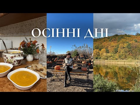 Видео: Золота осінь в сільській місцевості | гарбузовий крем-суп, прогулянки, магазин довіри