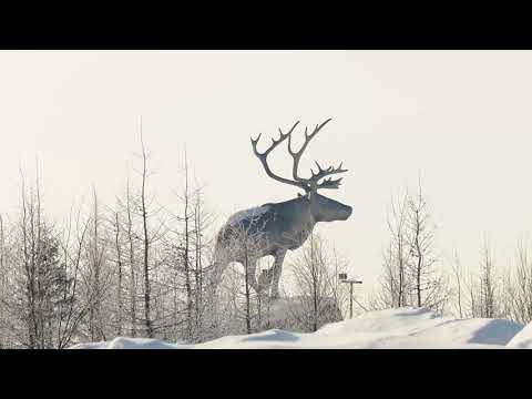 Видео: Салехард в 4K