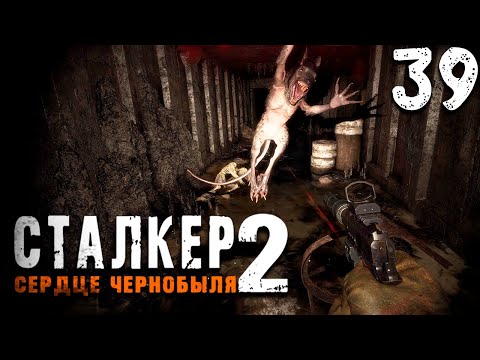 Видео: МИТЯ ГЕНИЙ (39) ► S.T.A.L.K.E.R.  2 Сердце Чернобыля