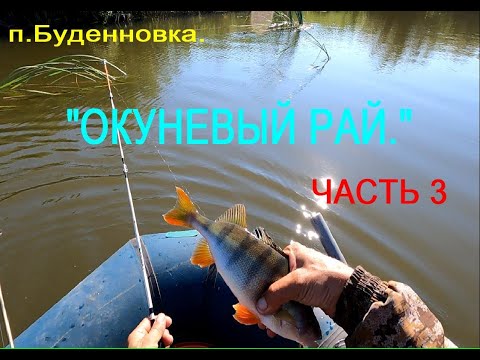 Видео: Окуневый рай 3.Рыбалка на лодке.