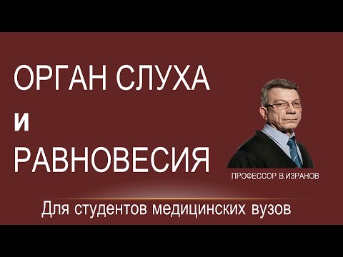 Видео: Орган слуха и равновесия.