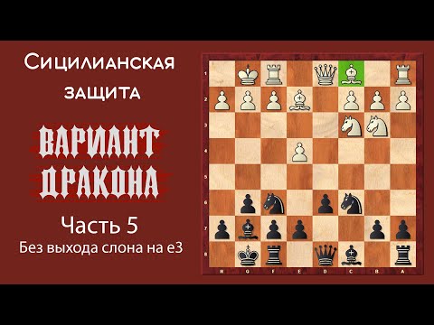 Видео: Сицилианская защита. Вариант Дракона (часть 5). Без выхода слона на е3