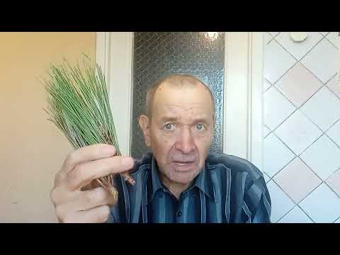 Видео: Боль в колене убрал за трое суток, личный опыт. Опыт Куликова.