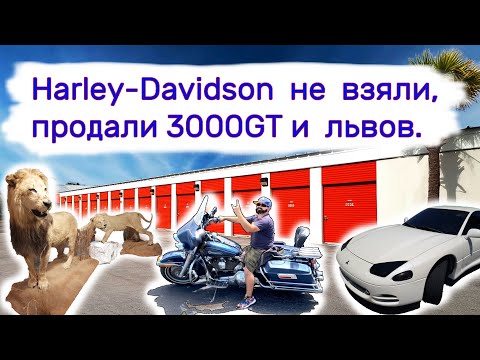 Видео: Harley-Davidson не взяли, продали 3000GT и львов.