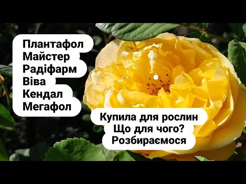 Видео: Стимулятори і добрива для троянд./plant stimulants and fertilizers