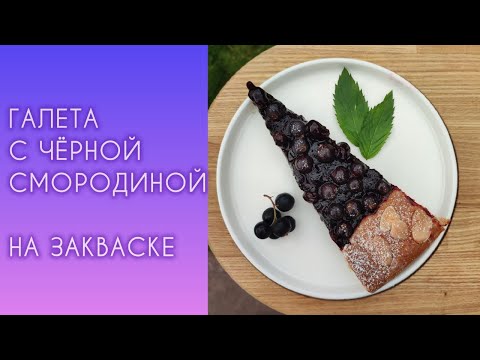 Видео: Галета с🍇😍 чёрной смородиной — Летний десерт, который покорит всех!