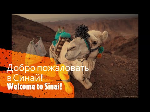 Видео: Поход в Синай . Часть 1. Trekking to Sinai. Part 1