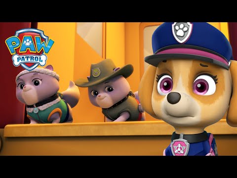 Видео: Кученцата от спасителния отряд спасяват кралските котки! - PAW Patrol Bulgarian - карикатури за деца
