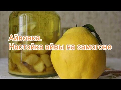 Видео: Настойка айвы на самогоне. Настойка которая не впечатлила