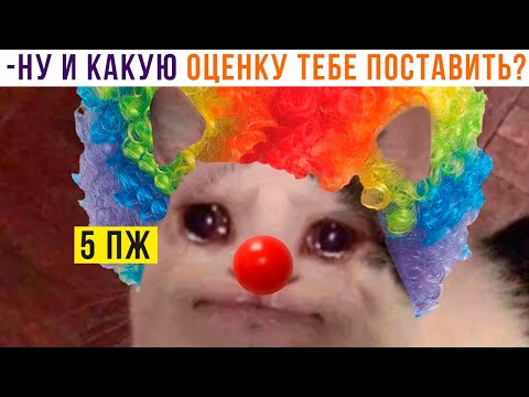 Видео: ТИПИЧНАЯ СИТУАЦИЯ У ДОСКИ ))) Приколы | Мемозг 1057