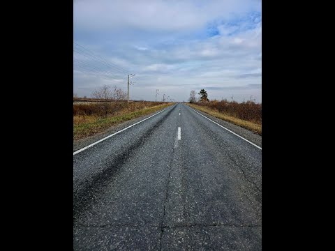 Видео: # 19. Грунт Cycling \ до Гузенеевского Заказника 132 км
