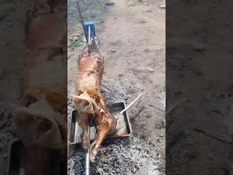 Видео: Агнешко чеверме 1